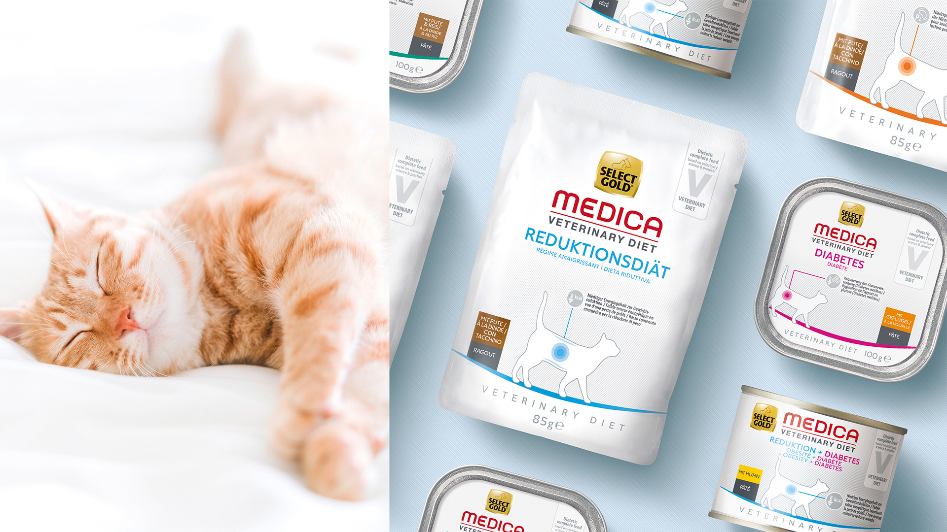 Fressnapf Select Cold Medica Packshot Übersicht neben Bild von schlafender Katze