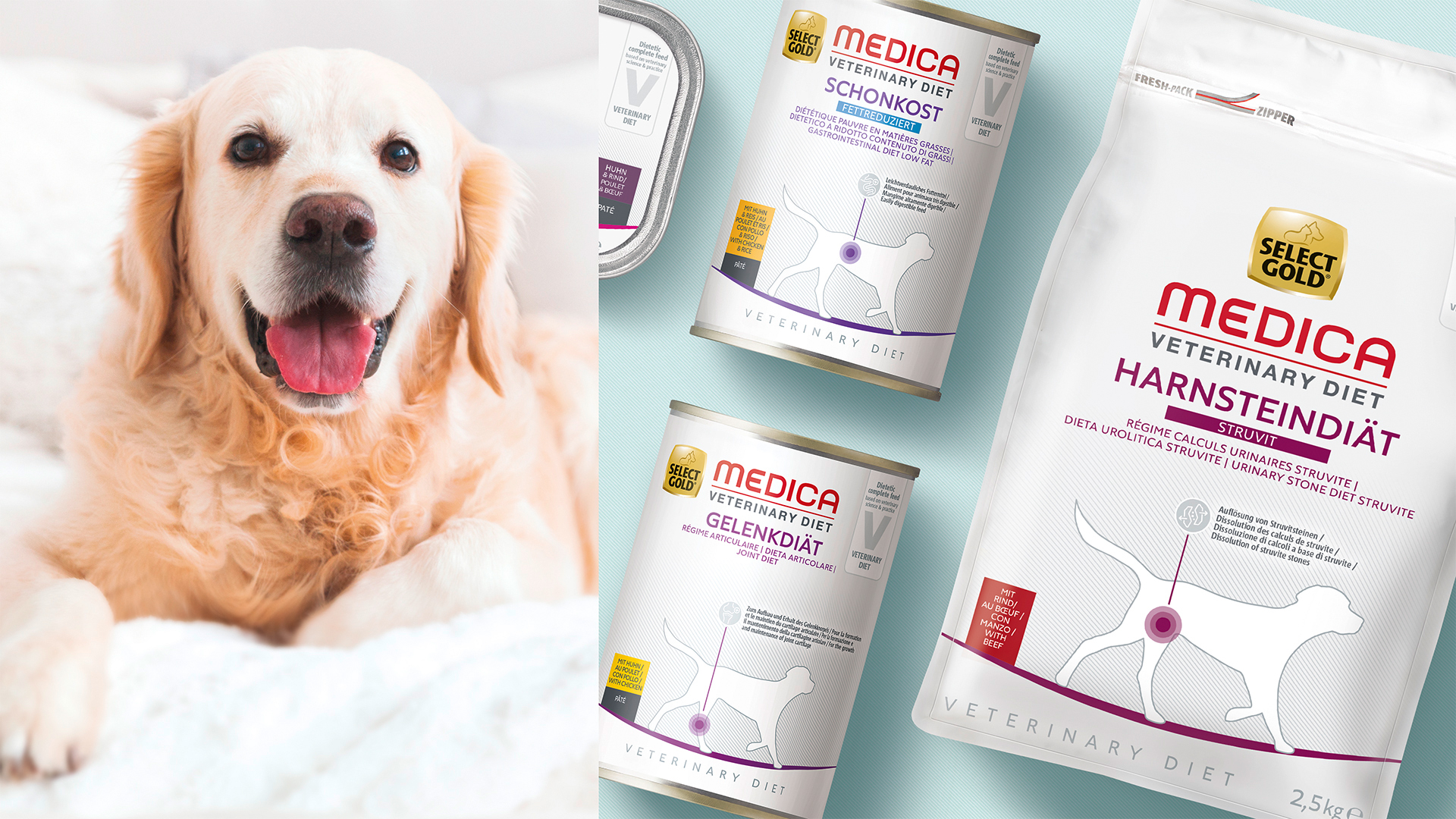 Fressnapf Select Gold Medica Packshot Übersicht neben Bild von lächelndem Hund
