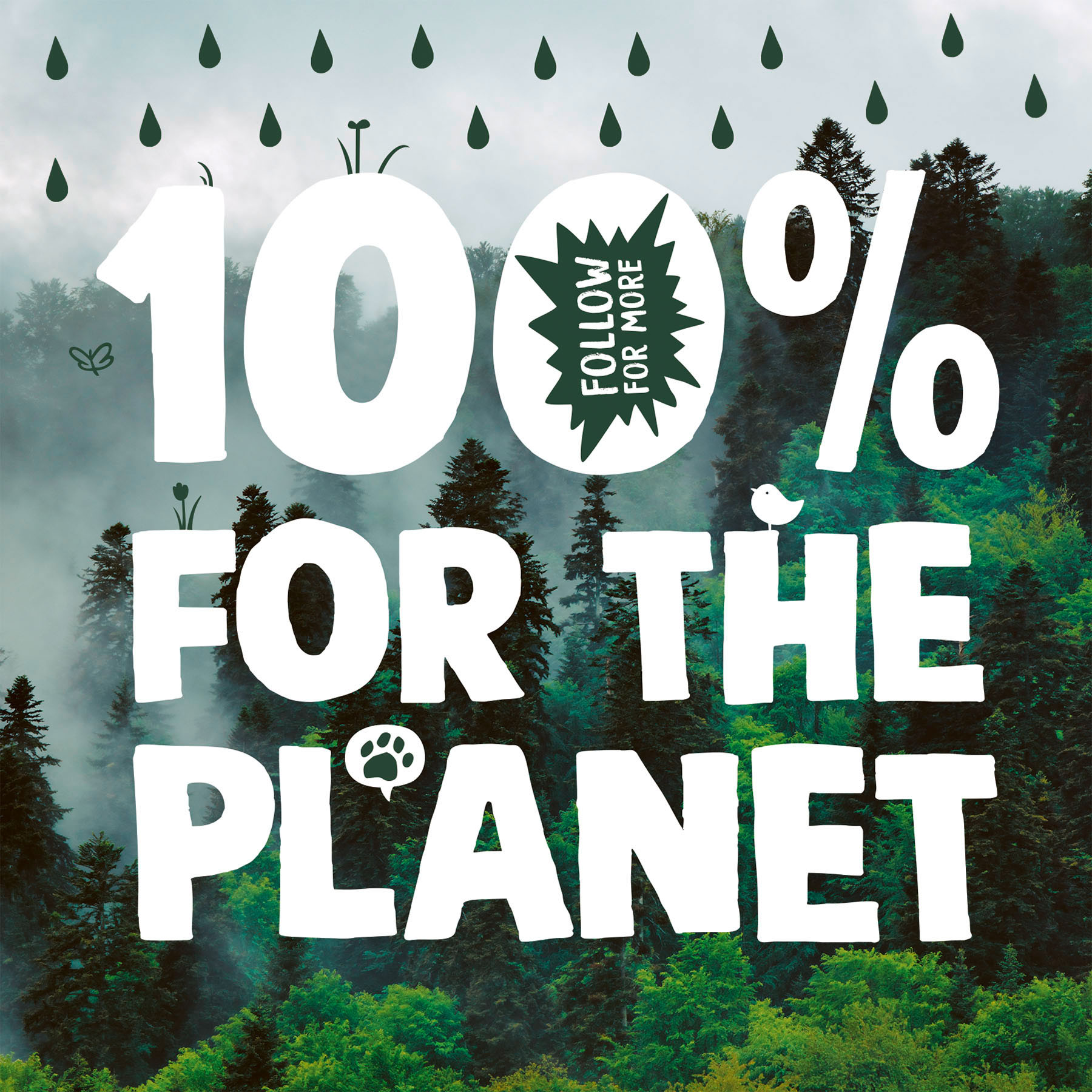 100% for the Planet Typo vor einem Nebelwald