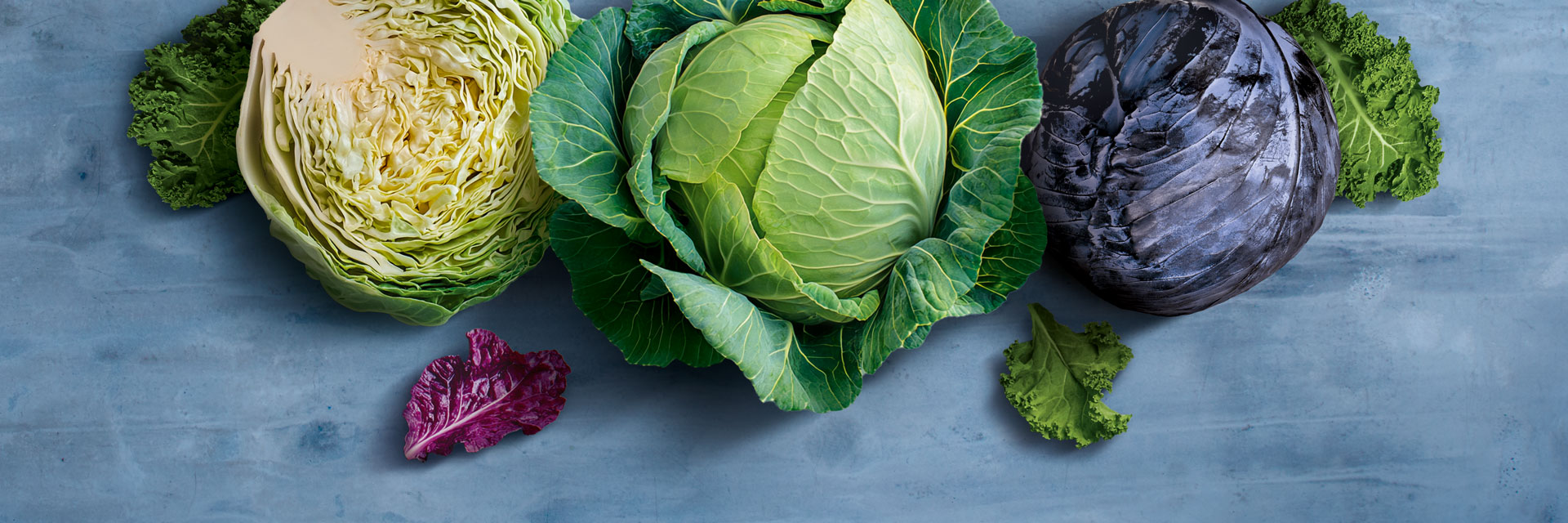 Drei Kohlköpfe, Grünkohl, Weißkohl, Rotkohl