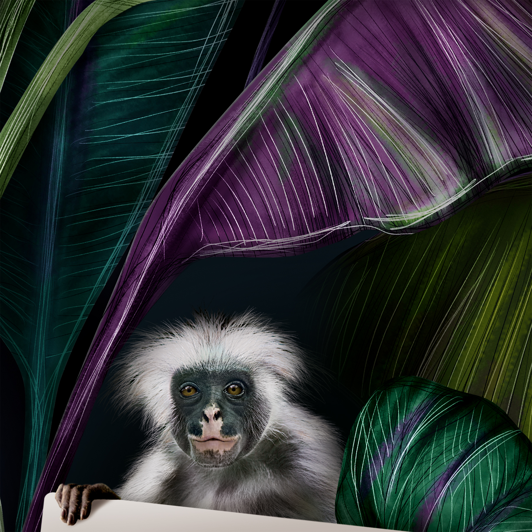 Detail Verpackungsdesign Affe im Jungle
