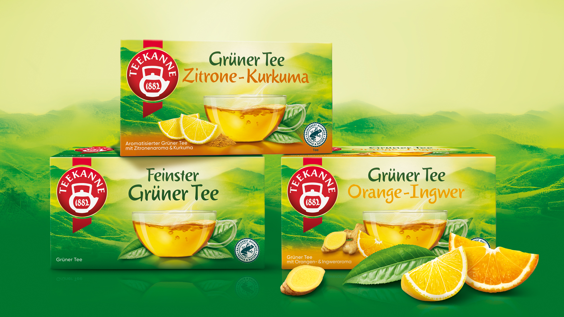 Drei Teekanne Grüntee-Varianten in farblich abgestimmten Verpackungen vor einem malerischen, nebelverhangenen Teefeld: Die Sorten „Feinster Grüner Tee“, „Zitrone-Kurkuma“ und „Orange-Ingwer“ verbinden natürliche Zutaten mit aromatischer Vielfalt – inszeniert mit leuchtenden Zitronen-, Orangen- und Ingwerstücken, die Frische und Geschmack visuell unterstreichen.