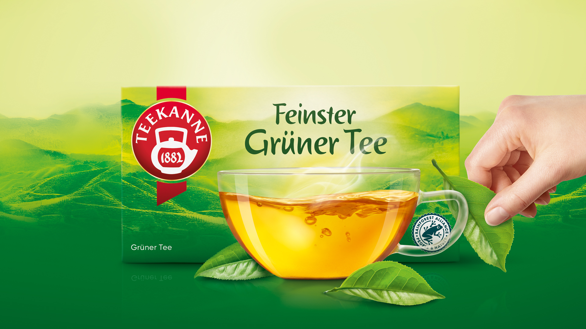 Verpackung des Teekanne Grünen Tees mit einem klaren, naturverbundenen Design: Im Vordergrund eine dampfende Tasse Tee mit leuchtend-goldener Farbe, daneben frische grüne Teeblätter und das Rainforest-Alliance-Siegel. Im Hintergrund eine sanfte, grüne Teelandschaft – ein visuelles Versprechen für Qualität, Natürlichkeit und nachhaltigen Anbau.