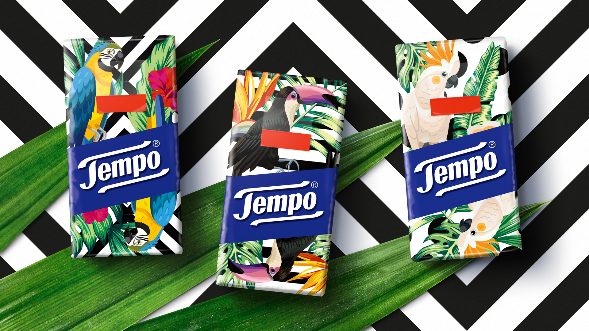 Drei Tempo Taschentuchpackungen im exotischen Design mit bunten Papageien, Tukans und Kakadus vor tropischen Blättern. Der Hintergrund in grafischem Schwarz-Weiß-Kontrast bringt das leuchtende Dschungelmotiv und die kräftigen Farben der Verpackungen besonders zur Geltung.